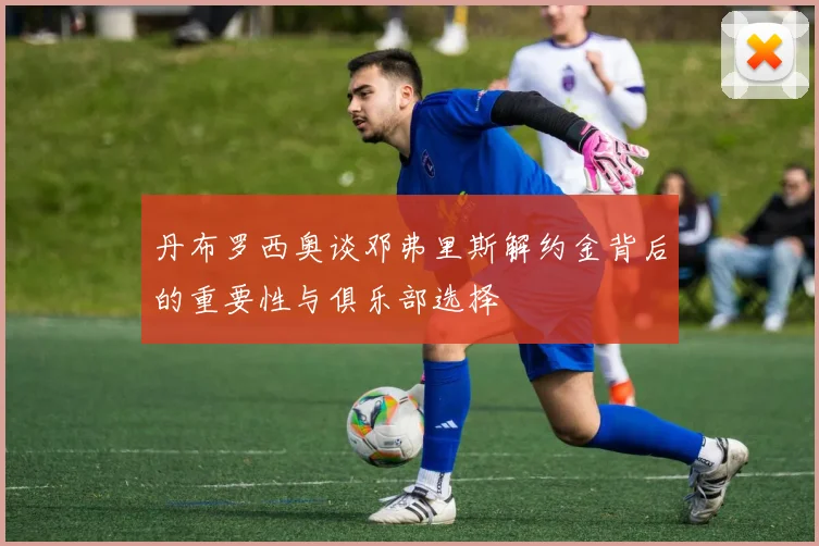 丹布罗西奥谈邓弗里斯解约金背后的重要性与俱乐部选择