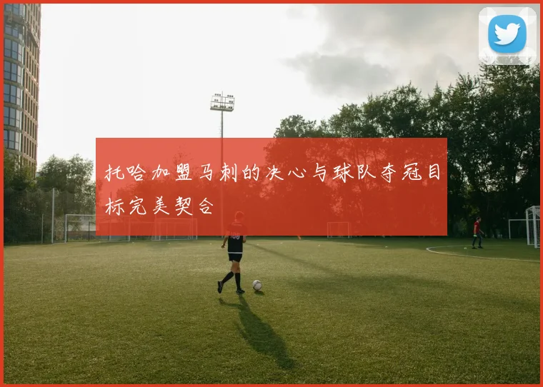 托哈加盟马刺的决心与球队夺冠目标完美契合