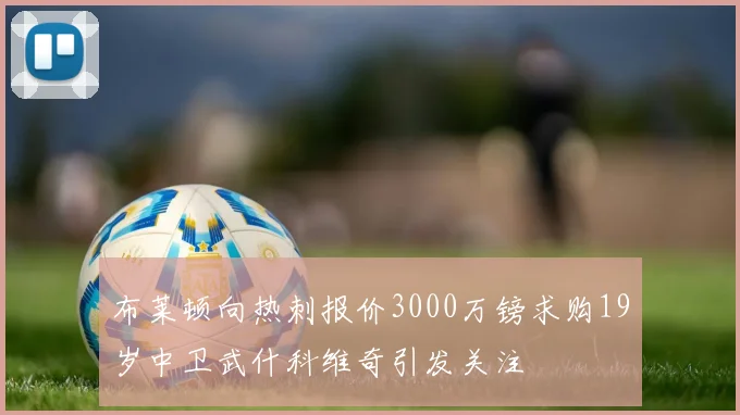 布莱顿向热刺报价3000万镑求购19岁中卫武什科维奇引发关注